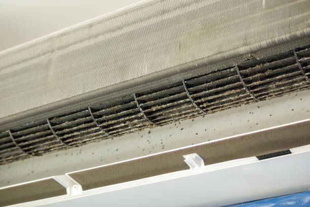 Best Ventilation System Cleaning in Opa Locka, FL