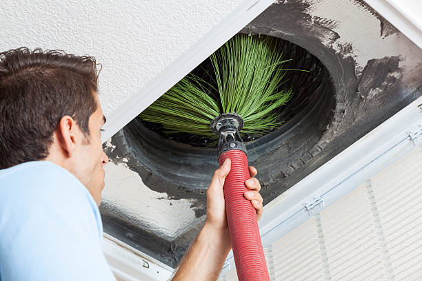 Best Air Duct Sanitization & Disinfection in Opa Locka, FL